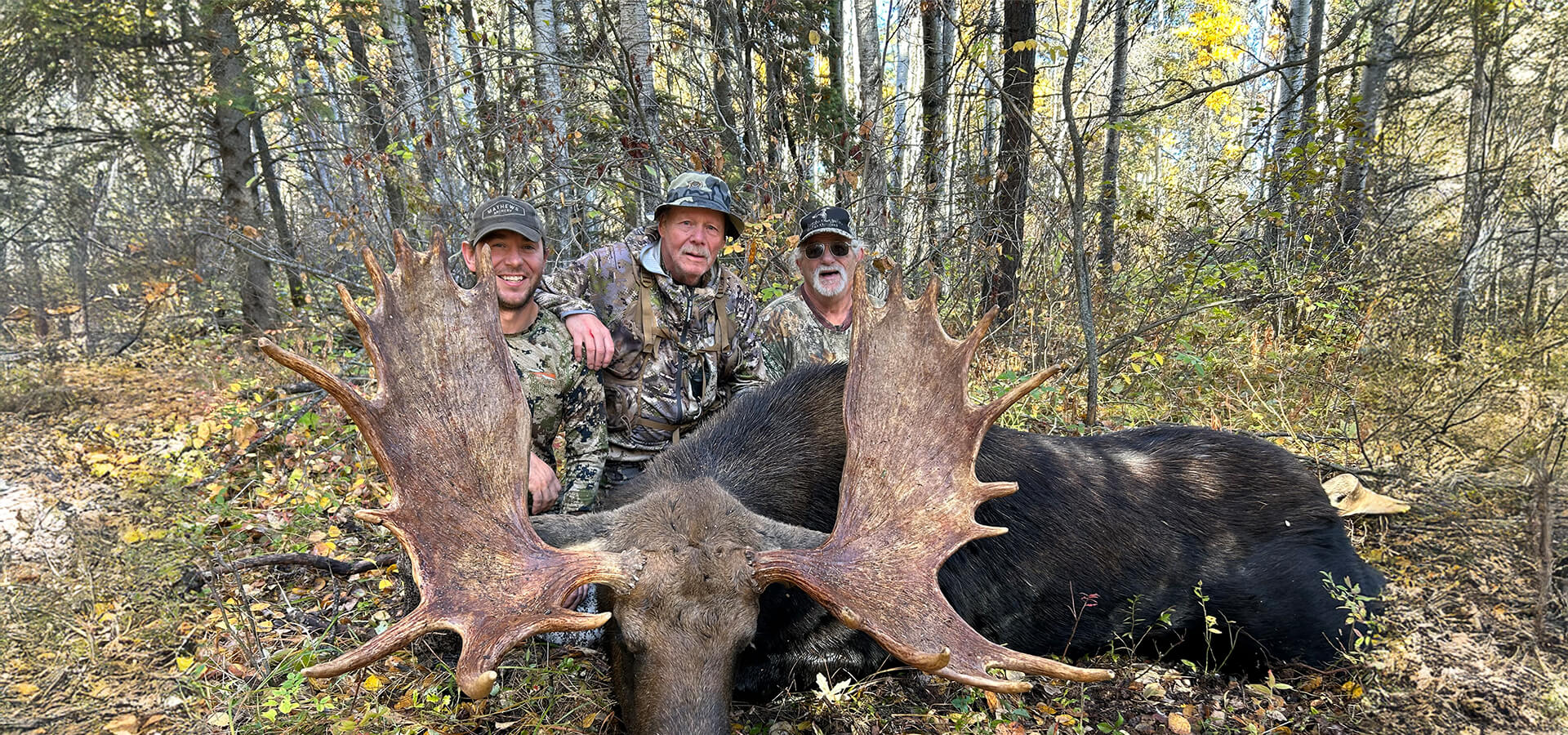 Moose Hunts Moose Hunts