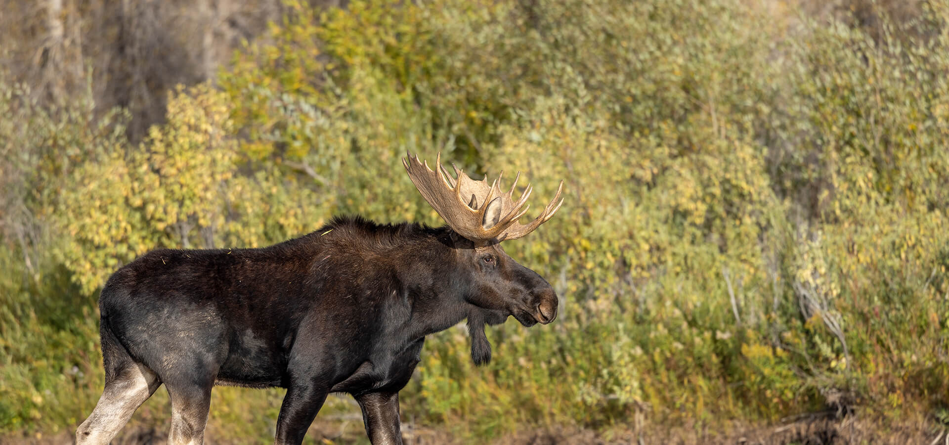 Harvest Outfitting Photo Gallery