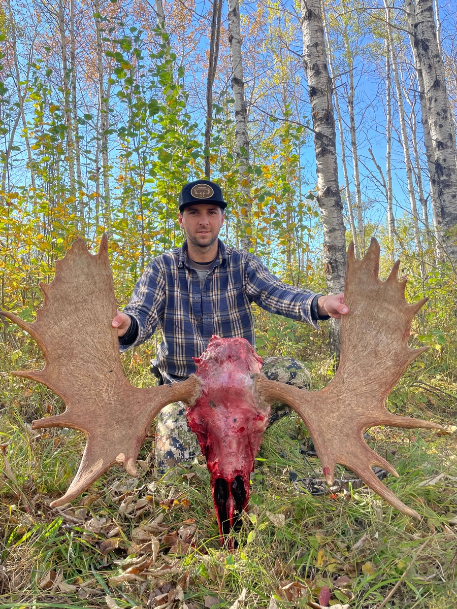 Moose hunt 